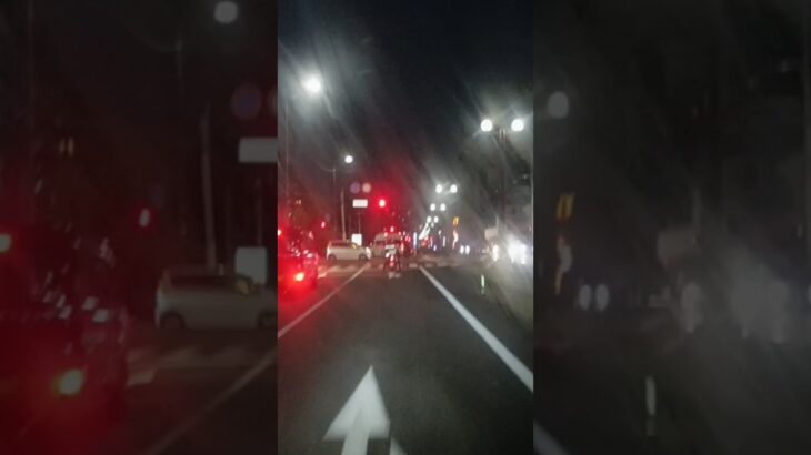 【緊急走行おまけ】鹿児島市消防局甲南救急