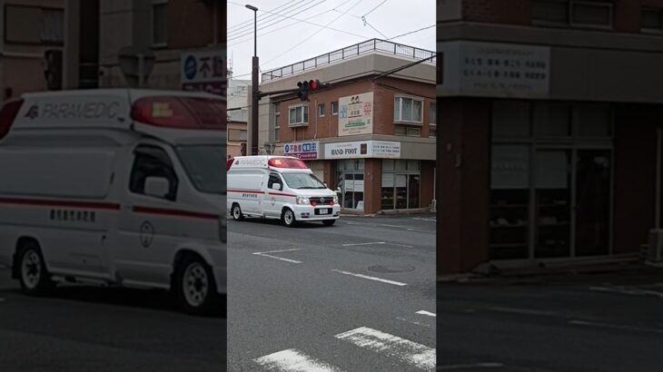 【緊急走行】代車運用中!鹿児島市消防局谷山救急隊