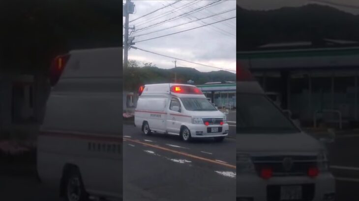 【緊急走行集】代車運用中!鹿児島市消防局谷山救急隊