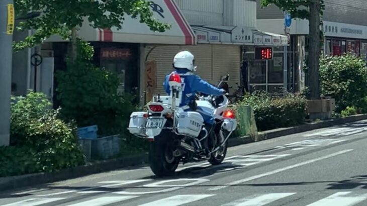 🚨横断歩道で歩行者優先を遵守する白バイが格好いい💖🚨大阪府警🚨赤色灯🚨白バイ🚨