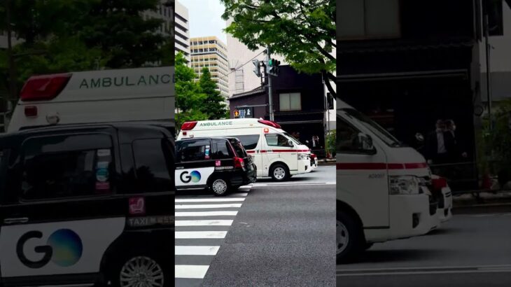 救急車 東銀座交差点 東京消防庁 緊急車両