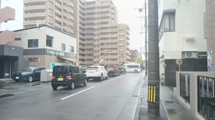 【緊急走行】鹿児島市消防局高度救急隊ドクターカー