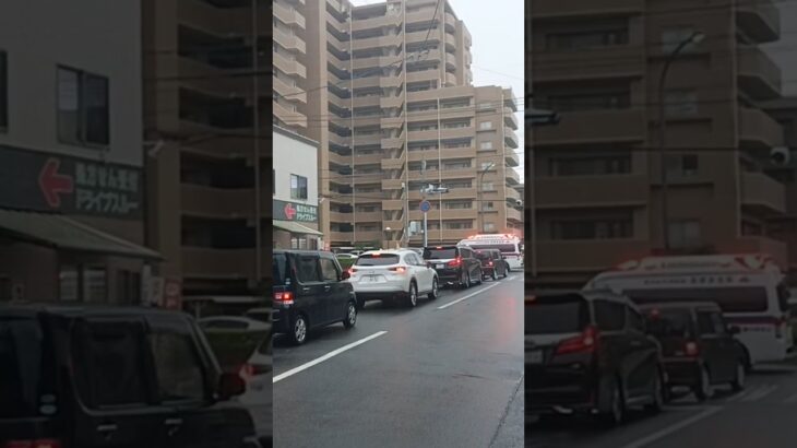 【緊急走行】鹿児島市消防局高度救急隊ドクターカー