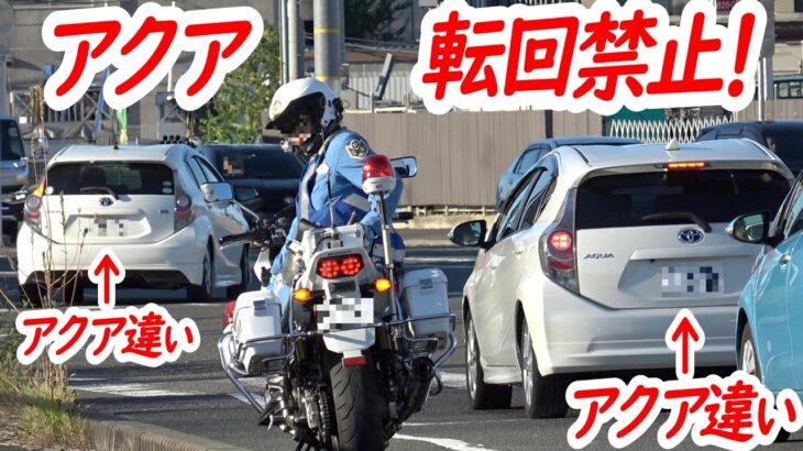 知らなかったでは済まされない！…交差点監視の白バイが、転回禁止違反のアクアを検挙！【白バイによる交差点取り締まり】