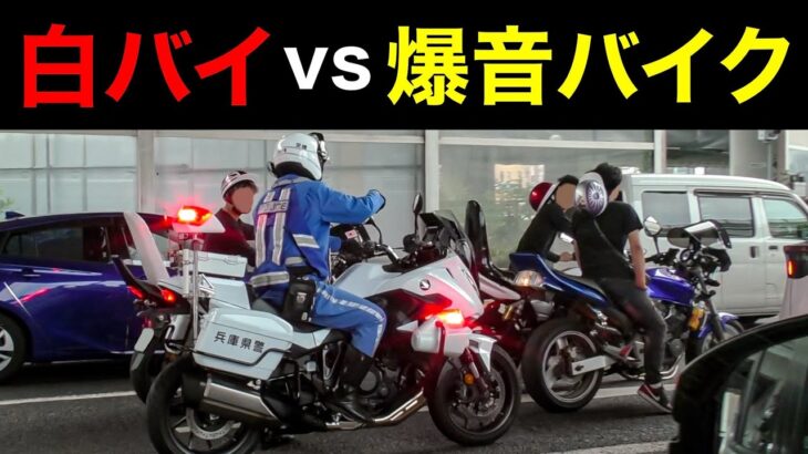 【白バイ vs 暴走族⁉️】爆音バイク集団が白バイに捕まる‼️　[警察 取り締まり DQN スカッと]