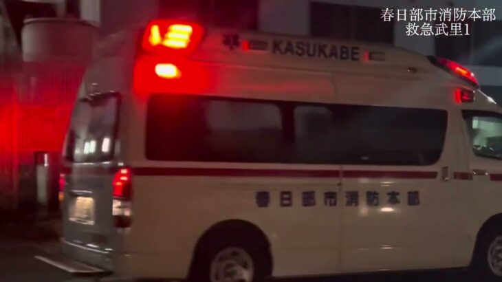 【救急・レッド走行】救急武里1レッド走行シーン