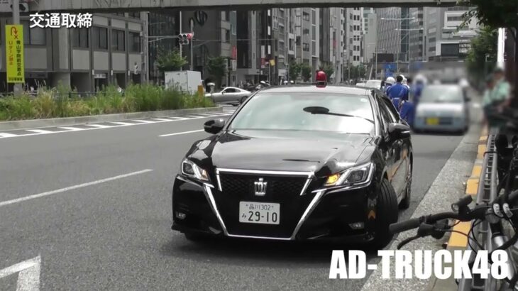 外免じゃね？白バイに交通違反で捕まりゴネる外国人ドライバー！応援要請に緊急走行で駆け付ける交通機動隊の白バイ10台と覆面パトカー