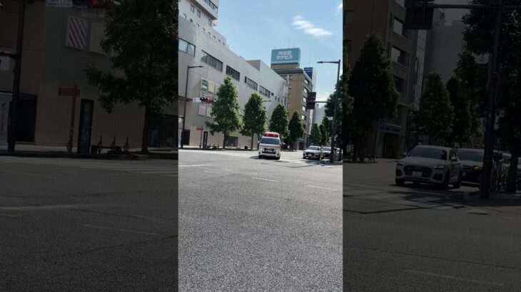 高崎市等広域消防局中央2救急隊アクティビーコン(ハイパーモードでの、交差点進入)#救急車 #緊急走行 #高崎市等広域消防局