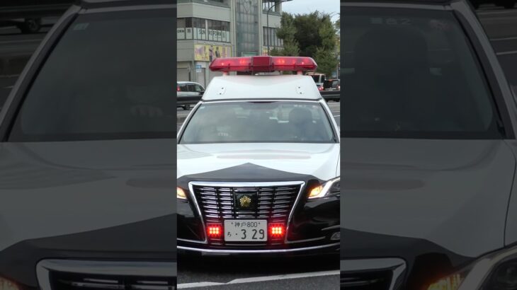 【緊急走行#2】パトカー緊急走行！！！本編にて！！！