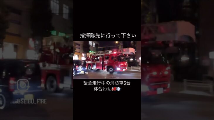 消防車同士の譲り合い！！！「指揮隊先に行ってください！」消防車3台連続緊急走行！🚒💨#緊急車両 #緊急走行 #消防車 #東京消防庁 #譲り合い #東京mer #tokyo mer