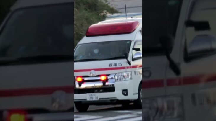 【亀山市消防本部】救亀5緊急走行(北東分署)