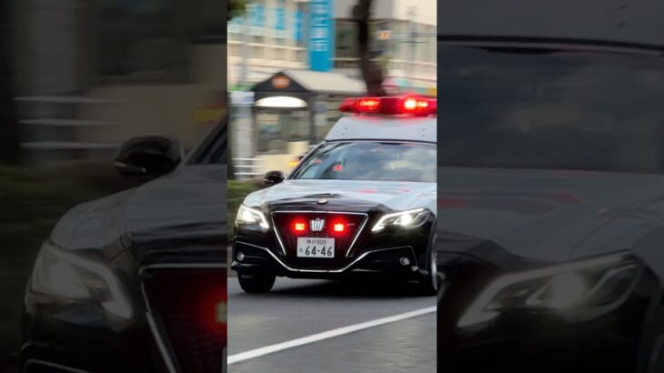 【緊急走行#5】パトカー緊急走行！！！本編にて！！！#shorts #パトカー