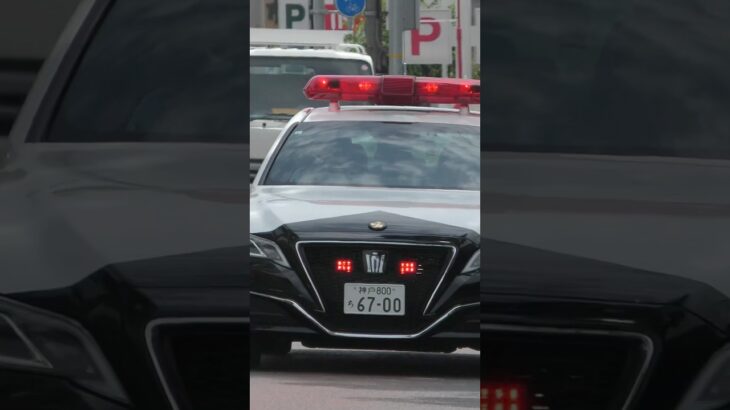 【緊急走行#8】パトカー緊急走行！！！本編にて！！！#shorts #パトカー#警察