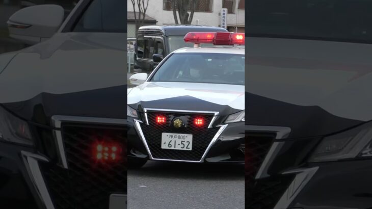 【緊急走行#9】パトカー緊急走行！！！本編にて！！！#shorts #パトカー#警察