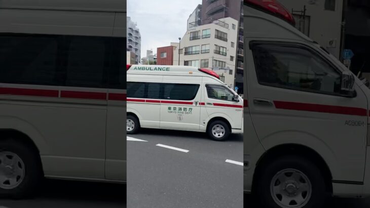 #救急車#児童相談センター#救急車#走行#出動#踏切#サイレン音#ASMR#sirensound#Ambulance#police car#東京消防庁#はたらくくるま#東京消防庁