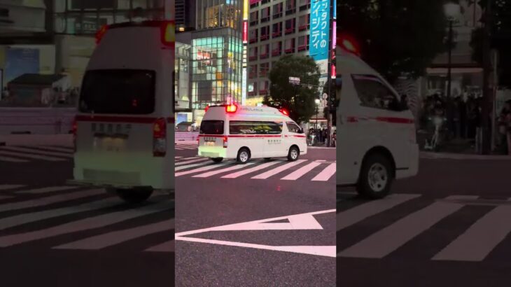 救急車 スクランブル交差点 渋谷 東京消防庁 緊急車両 Ambulance Scramble cross Shibuya Tokyo Fire Department emergency vehicle