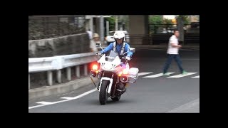 白バイの凄い加速と躍動感!!交通機動隊が信号無視の違反車を猛追跡!!急いでいても会釈を忘れない神対応!!Japanese Motorcycle police