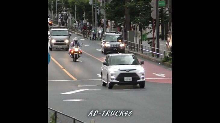 【白バイの取締】これがイエローカット！宇都宮じゃ捕まらないのOK？警視庁管内の取締は見逃さないですよ