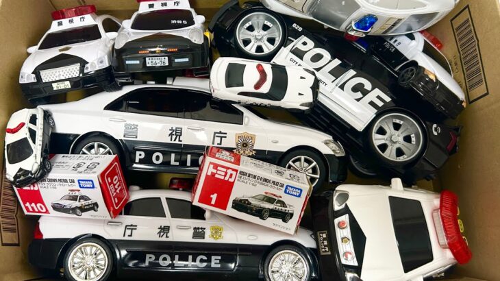 いろんなパトカーのミニカー集めて坂道走行です。Various police car mini cars gathered for a downhill driving test!