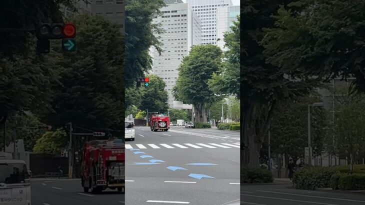 #消防車#火災#緊急出動 #緊急走行#サイレン#警察 消防車　火事！！！緊急出動！！救急車 #消防 #消防車 #消防車両 #緊急車 #緊急車両 #ambulance#tokyo#緊急走行