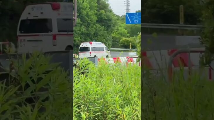 🚨響き渡るサイレン🚨救急車🚨緊急走行🚨宝塚市消防本部🚨赤色灯🚨サイレン🚨　#shorts