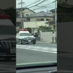 🚨兵庫県警🚨パトカー🚨パトロール🚨　#shorts
