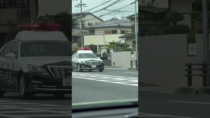 🚨兵庫県警🚨パトカー🚨パトロール🚨　#shorts