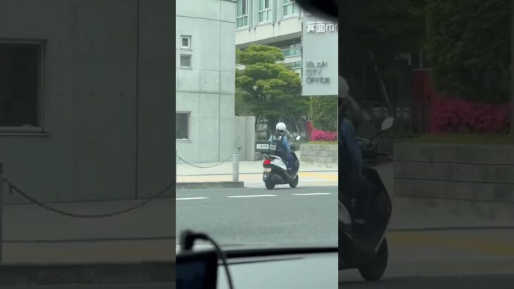 🚨女性警察官🚨警察バイク🚨警察官🚨大阪府警🚨パトロール🚨　#shorts