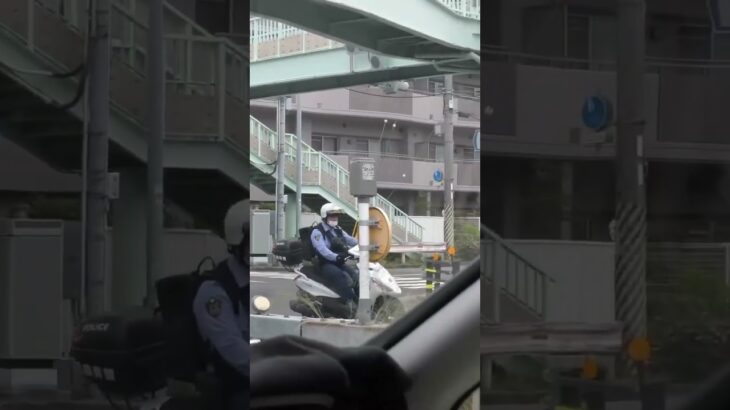 🚨警察バイク🚨警察官🚨パトロール🚨兵庫県警🚨　#shorts