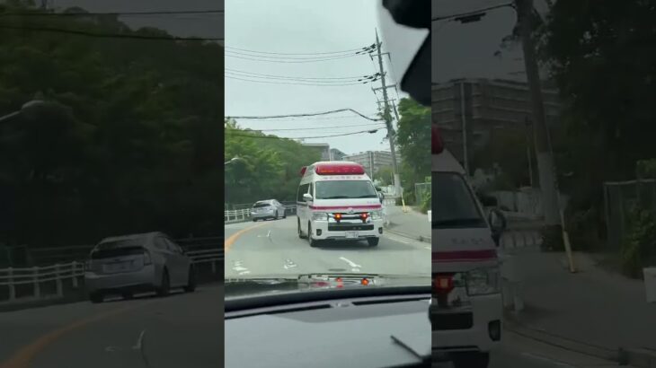 🚨救急車🚨緊急走行🚨響き渡るサイレン🚨宝塚市消防本部🚨　#shorts