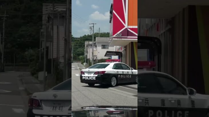🚨パチンコ屋に入るパトカー🚨兵庫県警🚨パトロール🚨パトカー🚨　#shorts