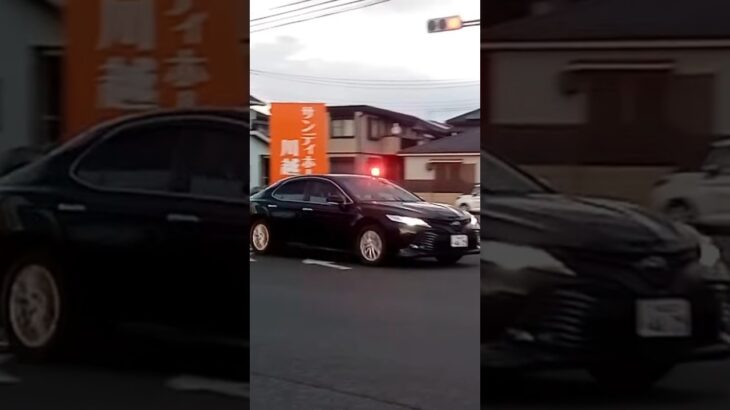 【緊急走行】埼玉県警察 機捜覆面パトカー#shorts