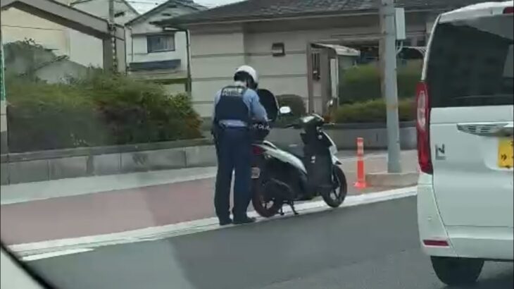 🚨違反者を検挙した警察官🚨警察バイク🚨兵庫県警🚨