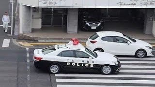 パトカー　緊急走行