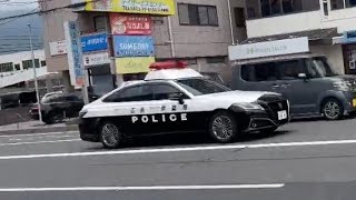 パトカー　緊急走行