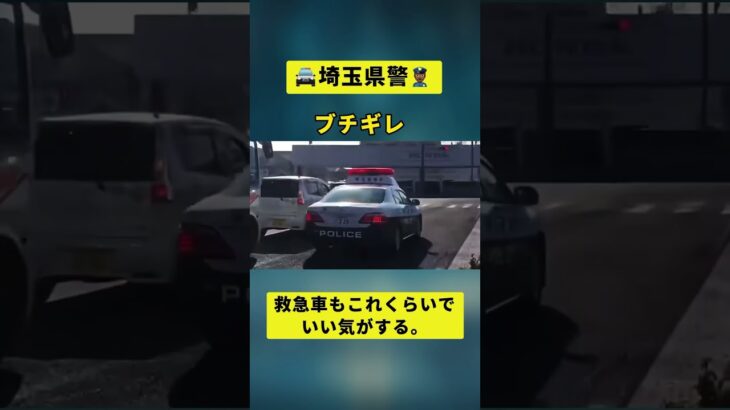 救急車もこれくらいでいい気がする #交通事故 #パトカー #緊急車両