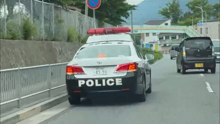 🚨停車するパトカー🚨兵庫県警🚨パトカー🚨パトロール🚨