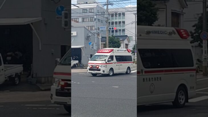 【緊急走行】アクティビーコンハイパーモード！鹿児島市消防局西本署救急隊