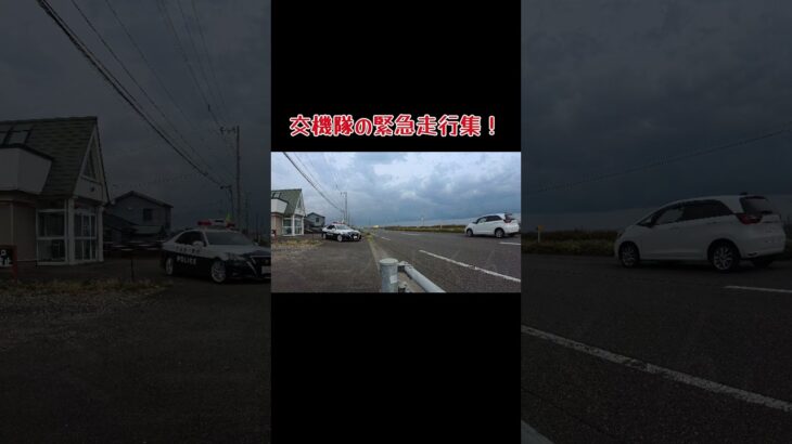 レーパトの追っかけ集。緊急走行しまくるレーパト。
