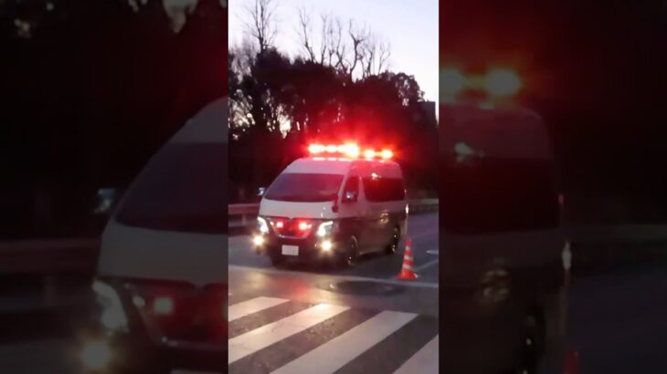 警視庁事故処理車緊急走行🚨 #緊急車両 #緊急走行 #警察 #警視庁