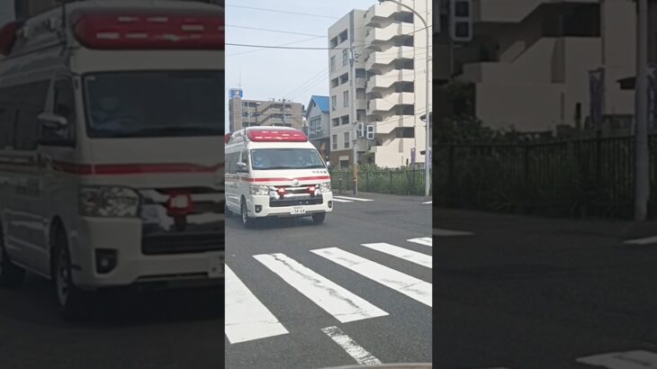 【緊急走行】鹿児島市消防局中央本署救急隊
