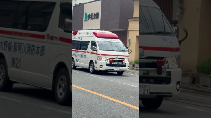 救急車・緊急走行