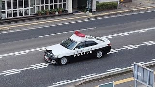 パトカー　緊急走行