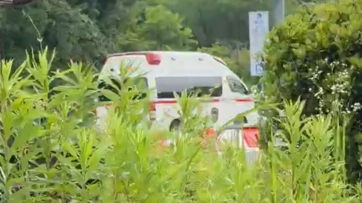 🚨響き渡るサイレン🚨救急車🚨緊急走行🚨サイレン🚨