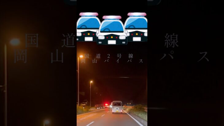 緊急走行中🚨いい獲物でもいたのかな？