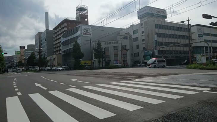 【緊急走行】可変ビーコンのレアな光り方発動！鹿児島市消防局高度救急隊ドクターカー