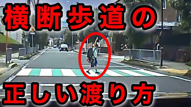 🩷必見🩷⭐️神動画⭐️横断歩道を正しく渡る小学生⭐️