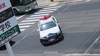 パトカー　緊急走行