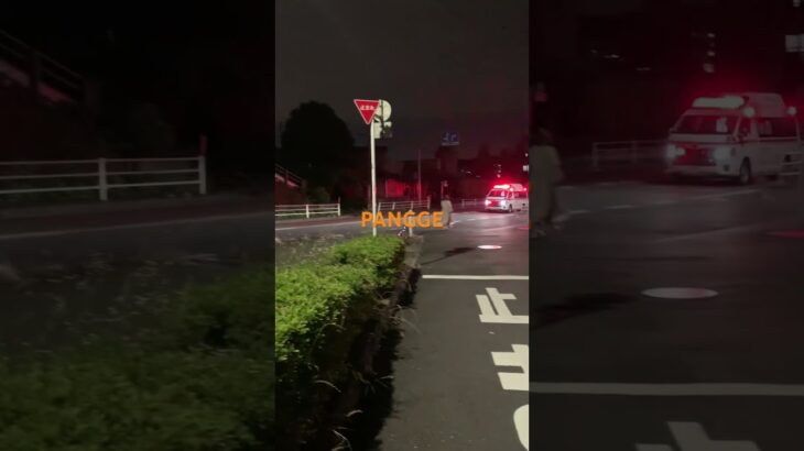 救急車🚑　緊急走行