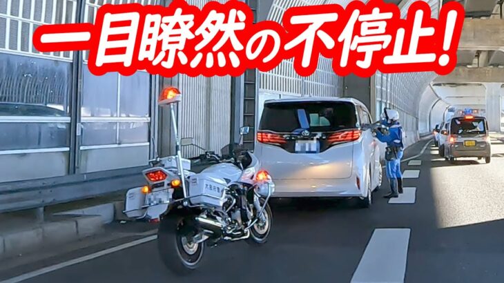 白バイ追走のエンジン音がたまらん！違いが一目瞭然だったアルファードの末路…【白バイによる一時停止取り締まり】
